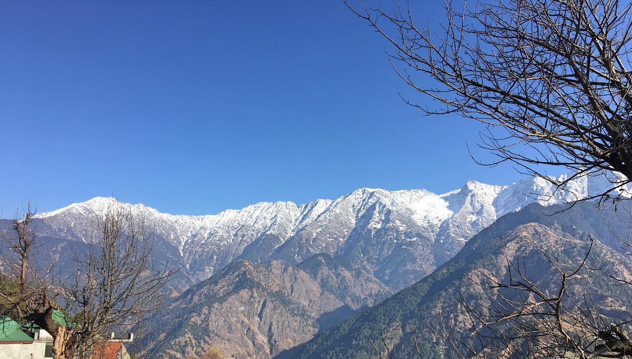 Ess & Bee Resorts Dharamshala Buitenkant foto