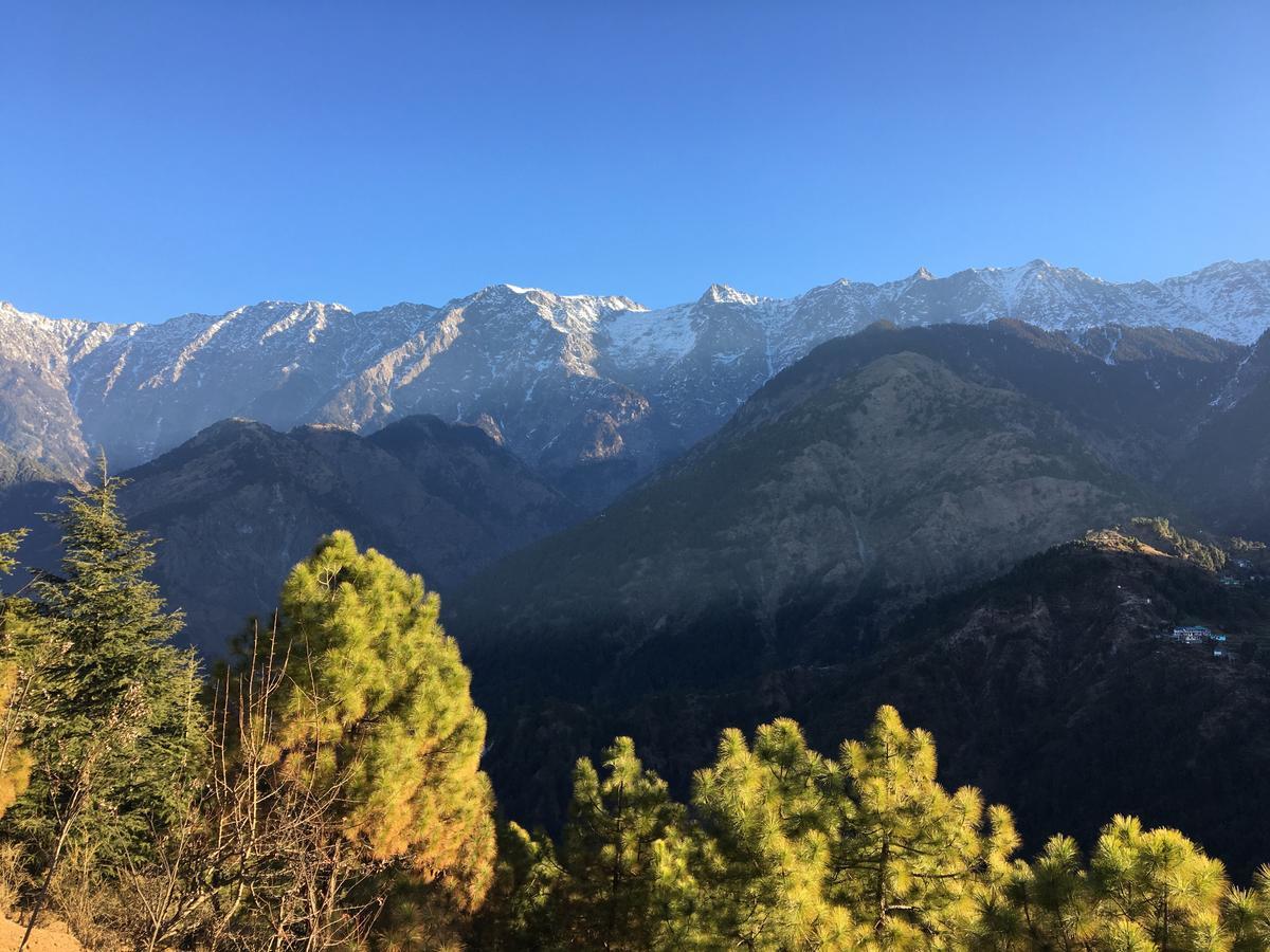 Ess & Bee Resorts Dharamshala Buitenkant foto