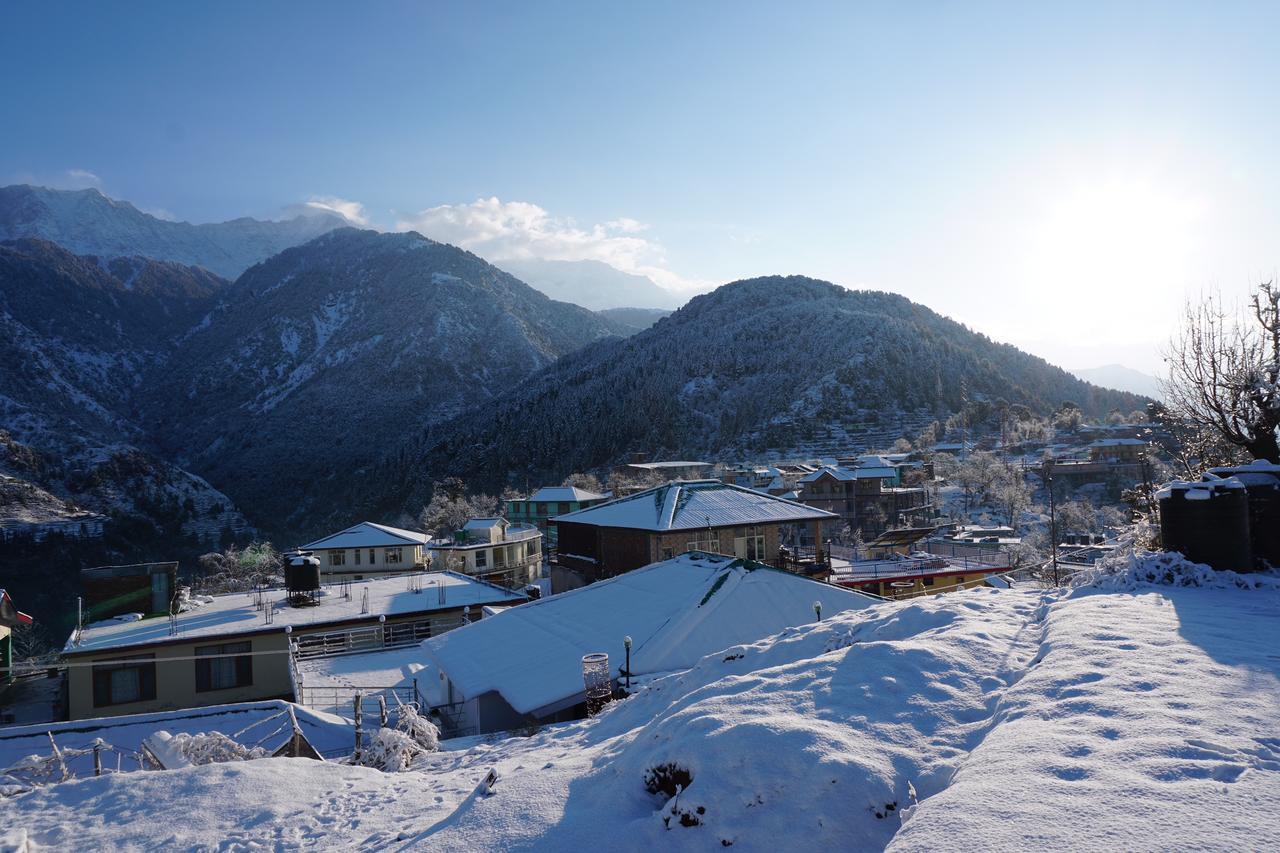 Ess & Bee Resorts Dharamshala Buitenkant foto