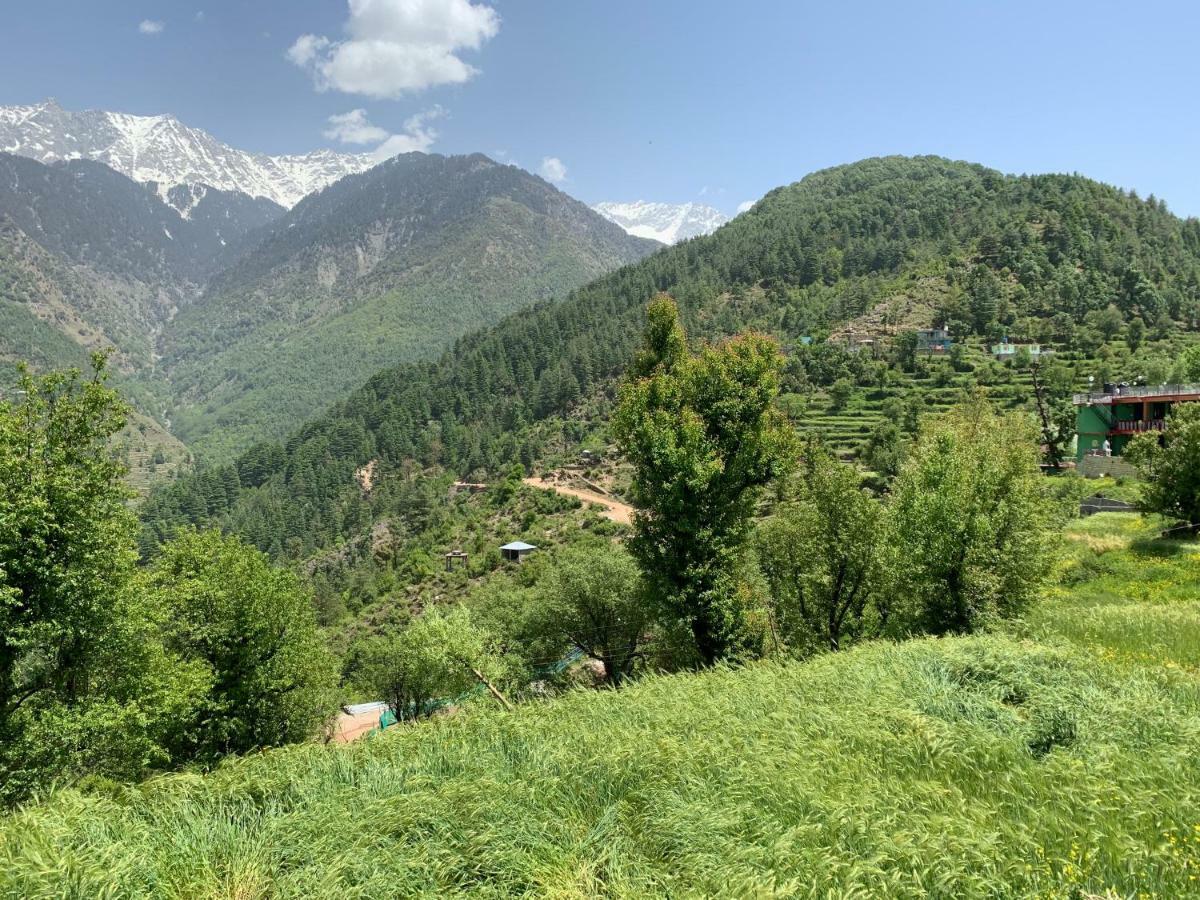 Ess & Bee Resorts Dharamshala Buitenkant foto